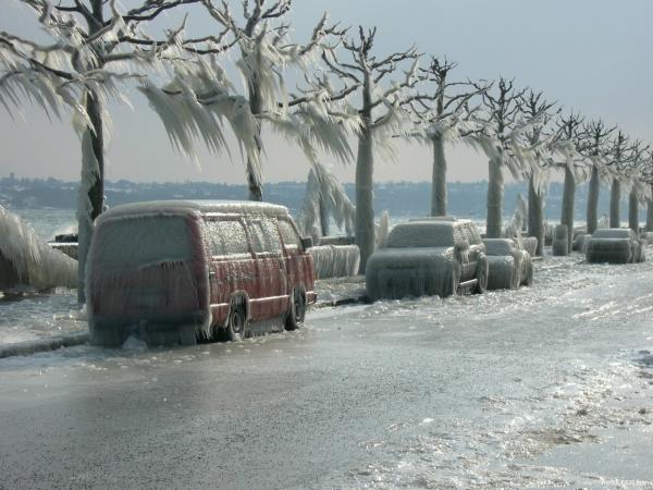 Autos und Bäume in Eis