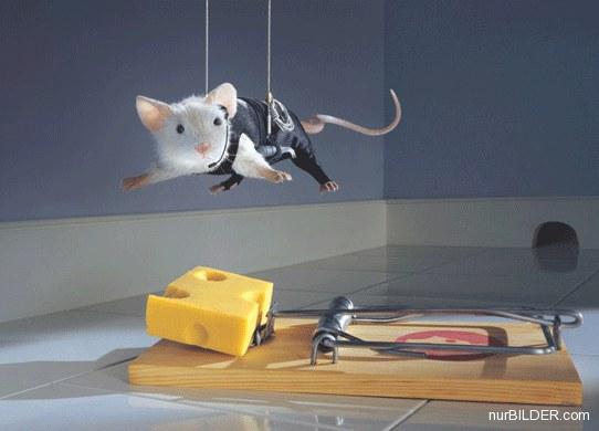 Mission Impossible Maus