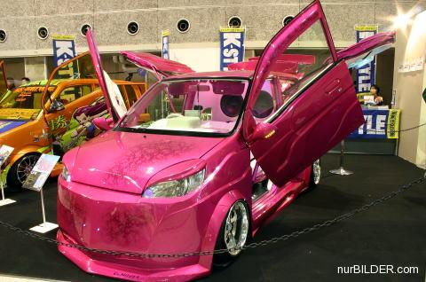 Pinkes Auto